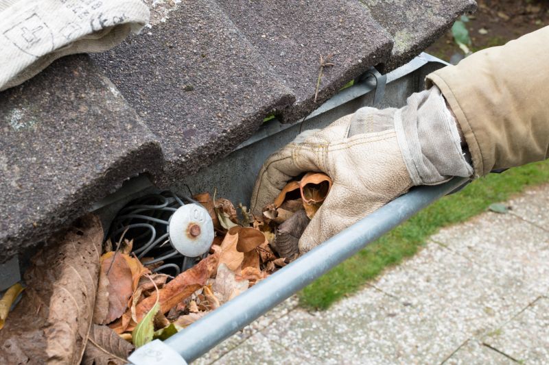 Gutter Pine Needle Removal in Boulder, CO