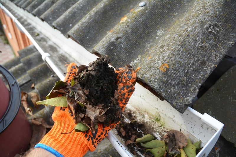 Roof Gutter Cleaning in Boulder, CO