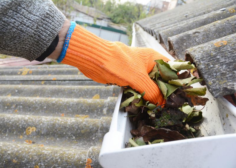 Gutter Cleaning in Frederick, MD